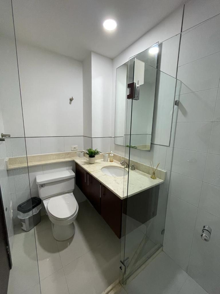 Hermoso En La Mejor Zona De La Ciudad Apartment